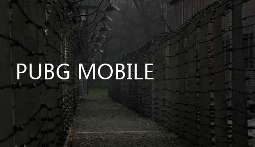 PUBG MOBILE LITE低配版