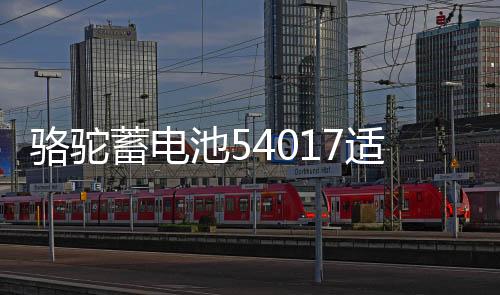 骆驼蓄电池54017适配比亚迪F0汽车54534风行SX6腾翼宝骏510电瓶